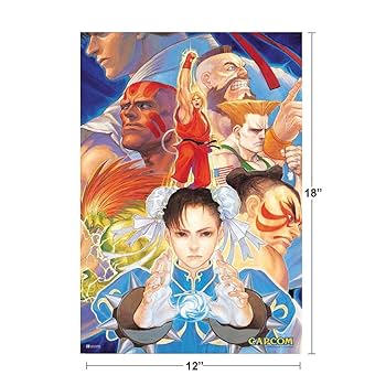 Amazon.co.jp: Street Fighter 2 Group アート カプコン ビデオ